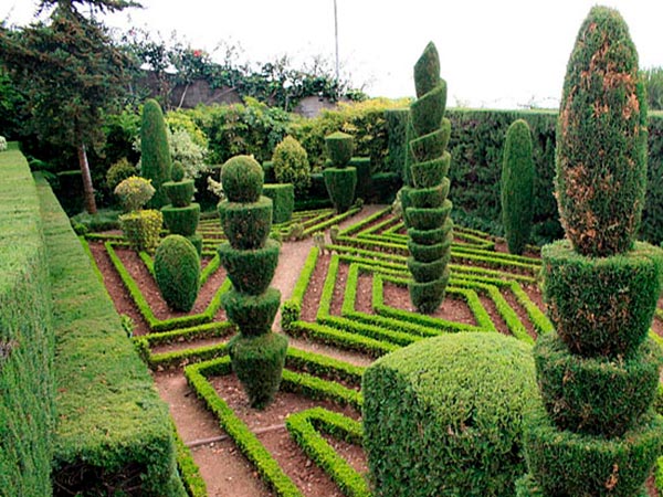 ТОПИАРИ — древнейшее искусство садового декора.